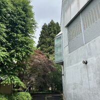 画像18579：飯山市 売地 南条