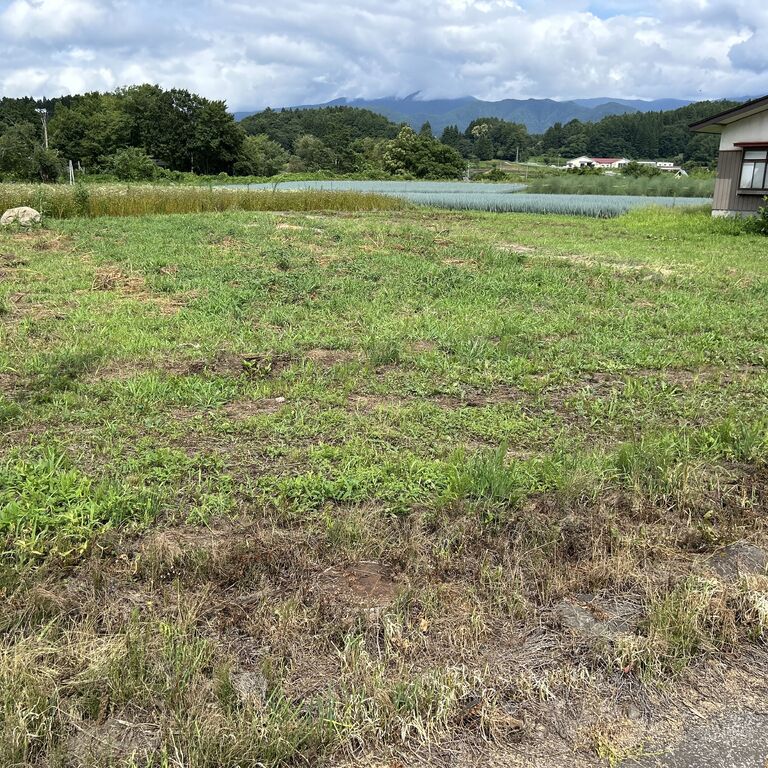 画像19522：飯山市 売地 とがり保育園近く